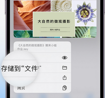 前海街道apple维修中心分享iPhone文件应用中存储和找到下载文件