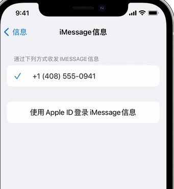 前海街道apple维修iPhone上无法正常发送iMessage信息