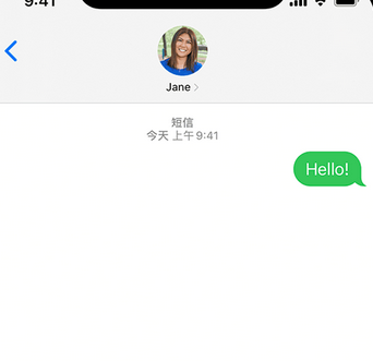 前海街道apple维修iPhone上无法正常发送iMessage信息