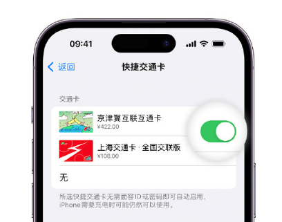 前海街道apple维修点分享iPhone上更换Apple Pay快捷交通卡手绘卡面 