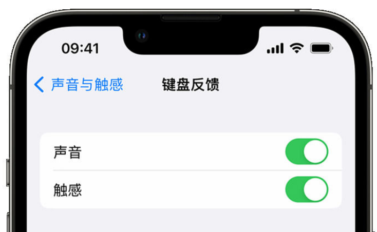 前海街道苹果手机维修分享iPhone 14触感键盘使用方法 