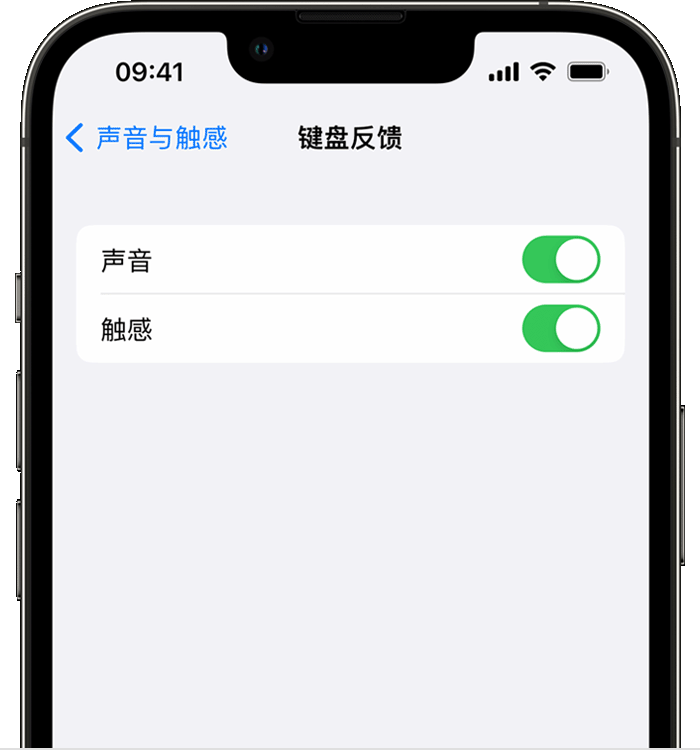 前海街道苹果14维修店分享如何在 iPhone 14 机型中使用触感键盘 