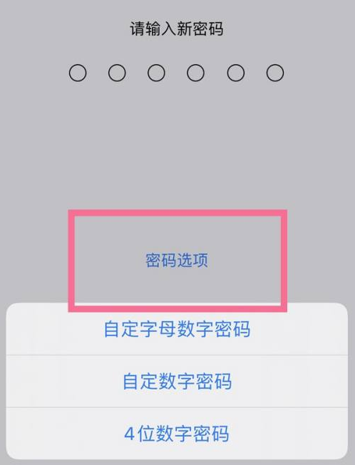 前海街道苹果14维修分享iPhone 14plus设置密码的方法 