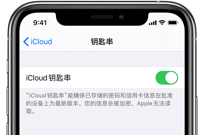 前海街道苹果手机维修分享在 iPhone 上开启 iCloud 钥匙串之后会储存哪些信息 