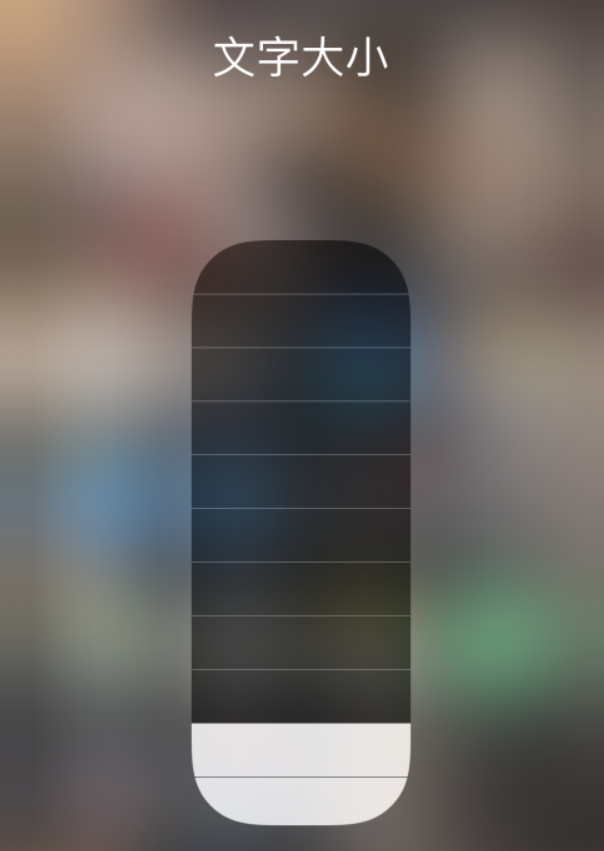 前海街道苹果手机维修分享小技巧：在 iPhone 控制中心快速调节字体大小 